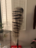 Zebra unit